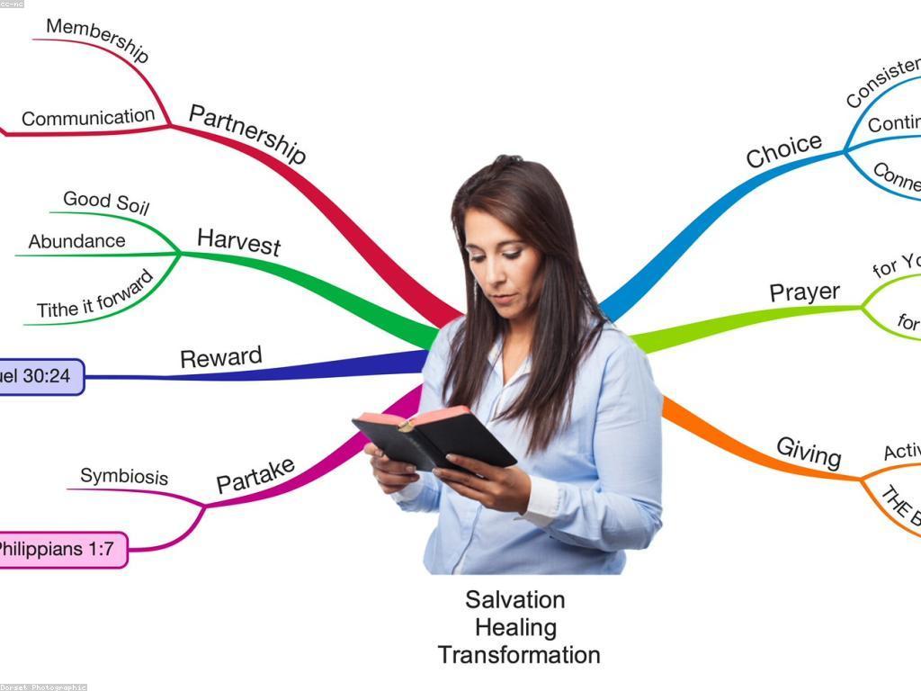 ប្រាក់រង្វាន់សង្គម: អត្ថប្រយោជន៍ និងវិធីប្រើប្រាស់