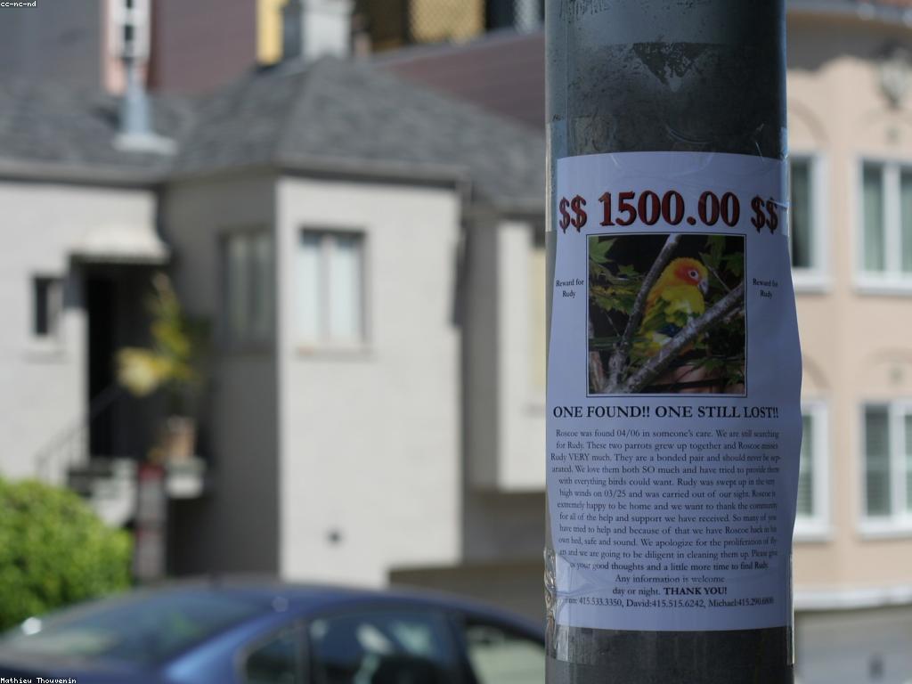 យុទ្ធសាស្ត្រថ្មីសម្រាប់ការបង្កើនប្រាក់រង្វាន់អាជីវកម្ម